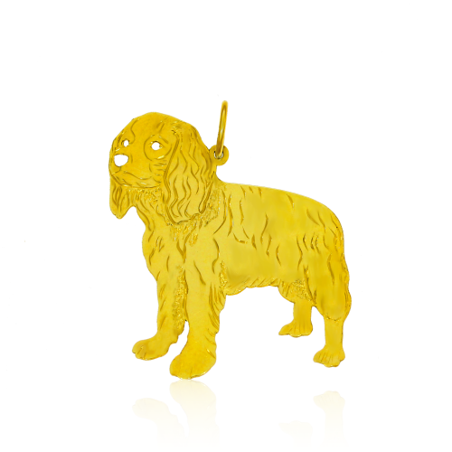 IMG_5274.PNG